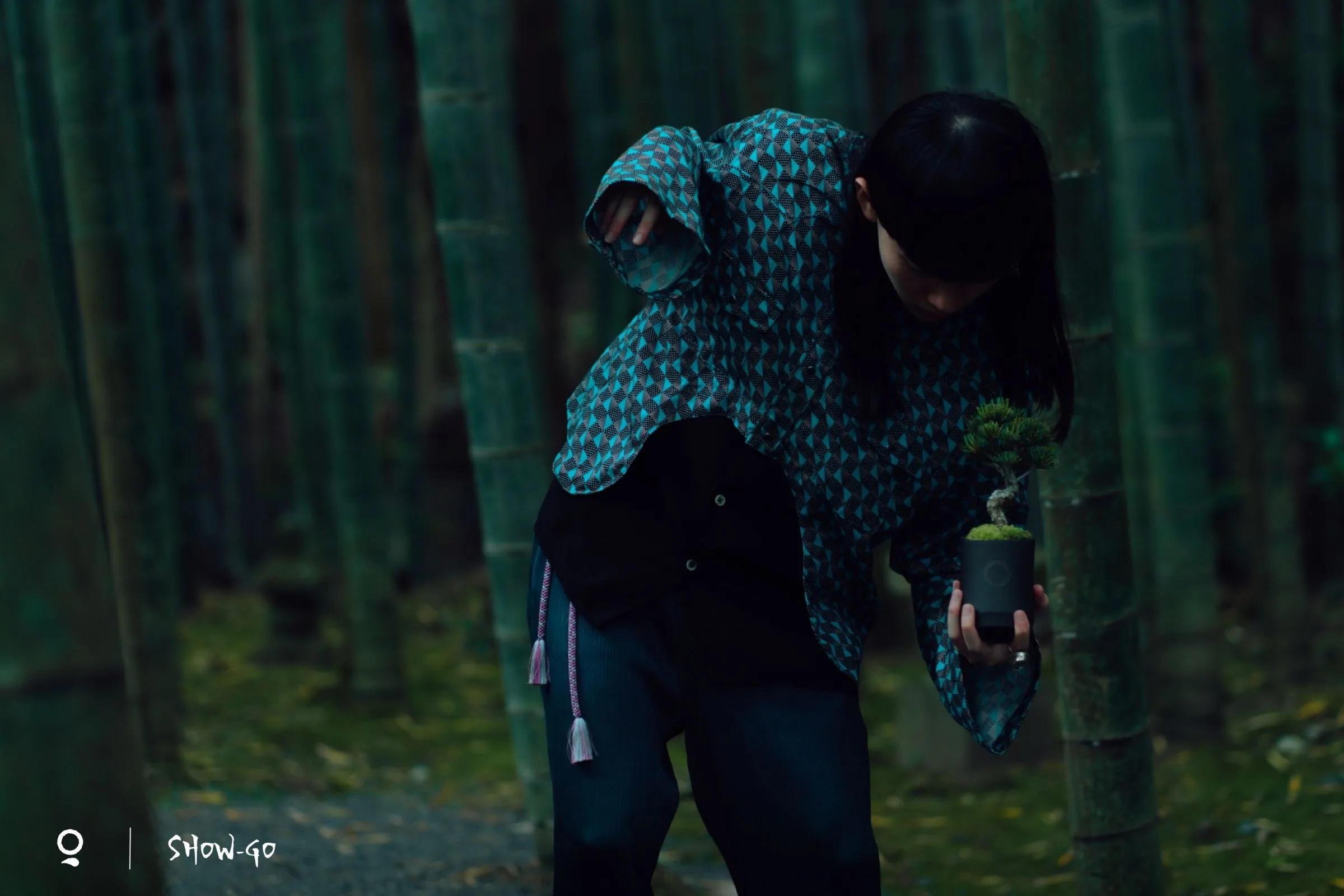 model : KAGUYA